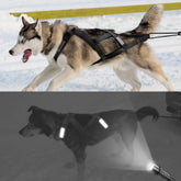 Professional Dog Sledding & Weight Pulling Harness - Reflective Waterproof Skijoring Vest - Heavy-Duty Padded Training Harness for Large Dogs