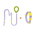 Rope Dog Leash & Collar Set (3-20kg) - Padded Comfort Handle & Color-Block