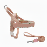 Saddle Dog Harness & Leash Set - No-Pull Padded Vest Walking Kit