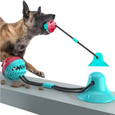 1 Pcs Pet Dog Puppy Molar Bite Toy Tug Rope Ball Chew Toys Tooth Cleaning Suction Cup