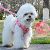 Plaid Pet Harness & Leash Set – Adjustable Chest Strap for Cats & Small Dogs, Breathable Comfort Fit