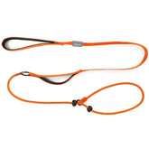 Dog Cinch Leash No Pulling Slip Lead for Dogs Training Slip Leash and Collar Heavy Duty Dog Lead with Comfortable Padded Handle