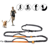 2026 NEW Cat Dog Hands-Free Leash Outdoor Sports Reflective Elastic for Running Dog Leash Chain Adjustable Pet Supplies