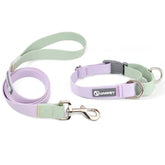 A professional product shot showing three sets of the waterproof PVC dog collar and matching leash in pastel Lavender Mist, Blush Petal, and Breeze Blue, displayed against a neutral light background.