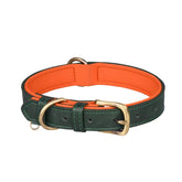 Padded Leather Pet Collar | Durable Adjustable Neck Strap with Brushed Bronze Hardware - Green Orange