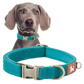 An adjustable ocean marine blue heavy-duty dog collar displaying its high-density webbed strap and polished quick-release metal alloy buckle.