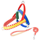 Dog Leash And Harness Set - Rainbow Design With Chest Strap