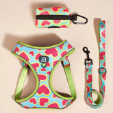High Quality Dog Harnes Leash with Poop Bag Holder Suitable for Walking Dogs Factory Direct Sales