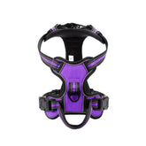 A Royal Orchid Purple no-pull dog harness featuring reflective trim and a breathable mesh interior for medium to large dogs.
