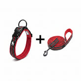 An adjustable crimson red dog collar and leash set featuring high-visibility reflective stitching, durable nylon fabric, and a secure snap-buckle closure.