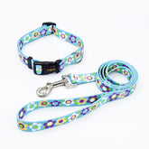 A matching sky blue pet collar and leash set decorated with white, yellow, and purple daisy floral patterns.