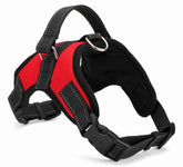 A vibrant Crimson Fire Red breathable nylon dog harness with quick-release buckles and adjustable straps for small to medium dogs.