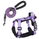 A Royal Orchid Purple adjustable dog vest with high-visibility reflective stitching for small to medium breeds.