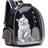 Sleek black space capsule pet backpack with transparent bubble window for cats and small dogs