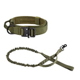 Ranger Green military-grade K9 training collar with quick-release metal buckle and tactical bungee dog leash.