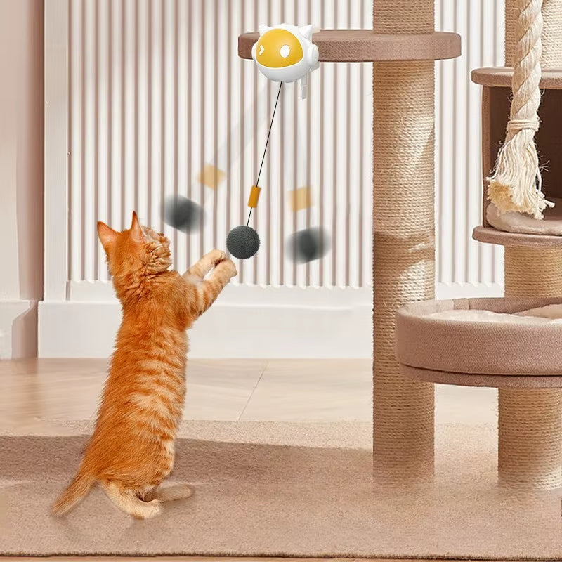 interactive cat toys
