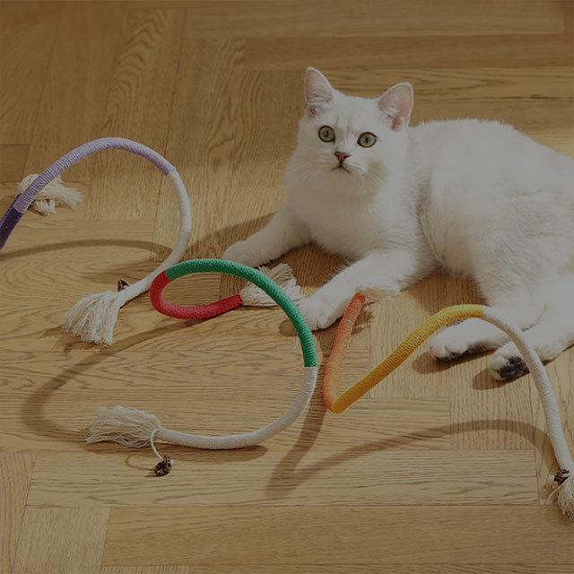 Cat Rope Toys Australia | Durable Play Gear | Pawzation – Pawzation ...