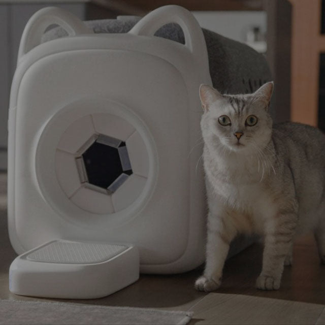 Cats Calming Devices – Pawzation Australia
