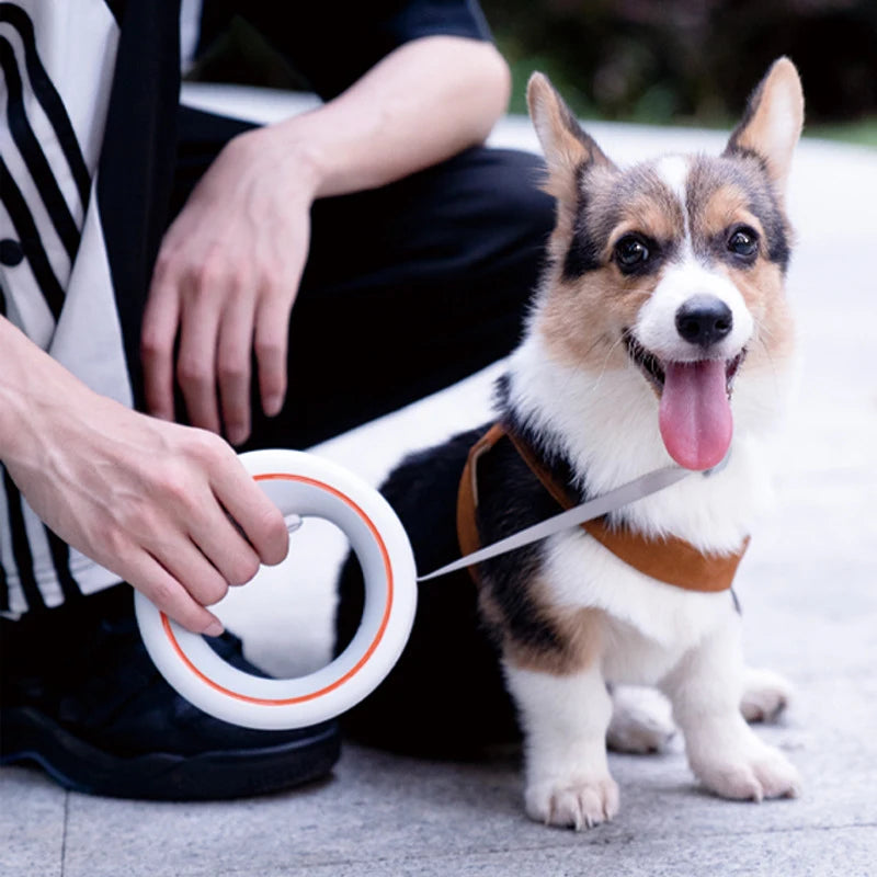 3M Retractable Dog Leash – Lightweight Hands‑Free Design, Durable Training & Walking Lead for Pets up to 30kg