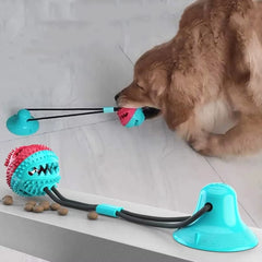 1 Pcs Pet Dog Puppy Molar Bite Toy Tug Rope Ball Chew Toys Tooth Cleaning Suction Cup