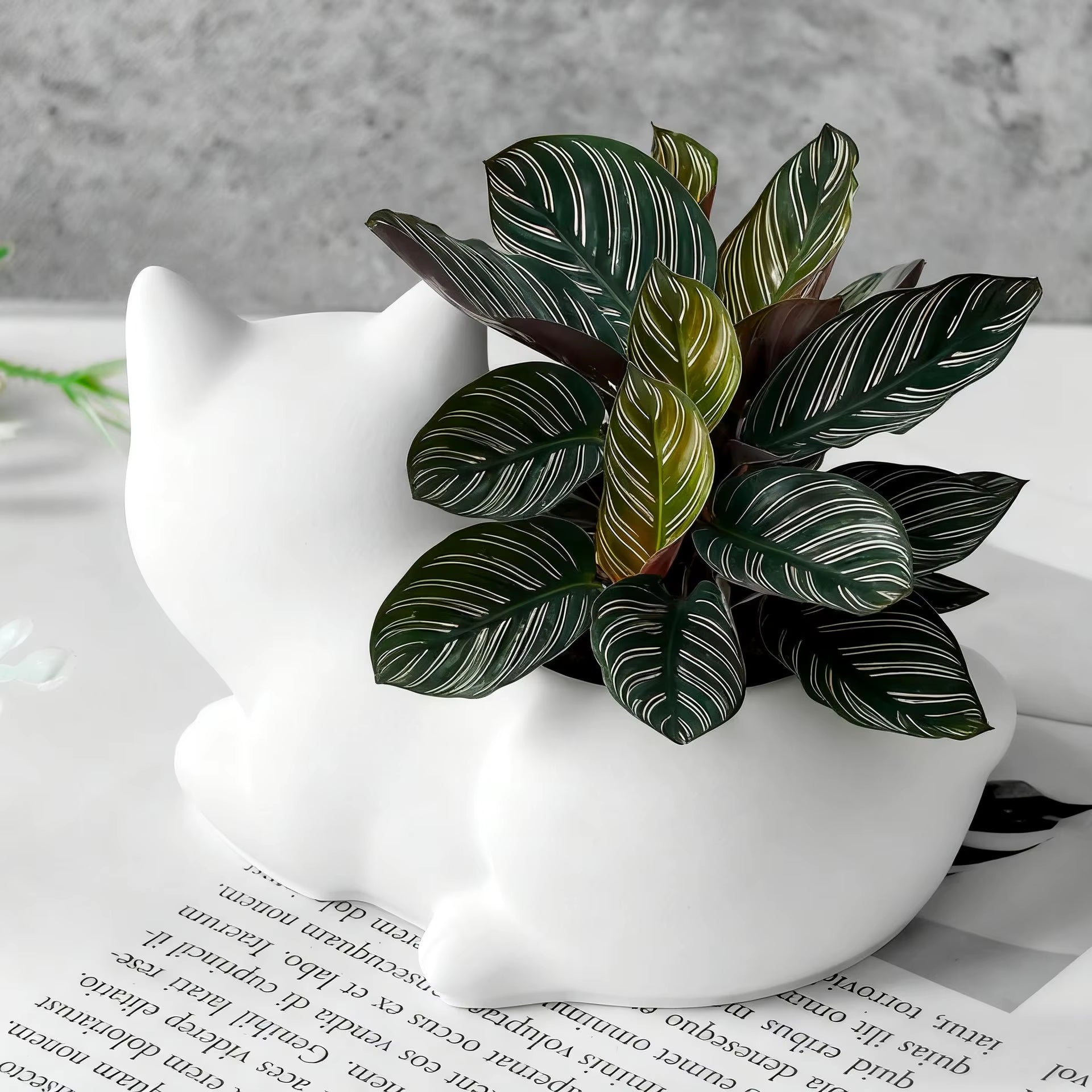 Cute Cat Ceramic Planter – Whimsical Indoor Pot for Succulents & Houseplants