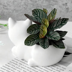 Cute Cat Ceramic Planter – Whimsical Indoor Pot for Succulents & Houseplants