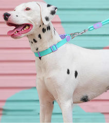 Dopamine-Inspired Adjustable Dog Collar Dual Leash Set Durable Pet Walking Pet Leash Pet Accessories