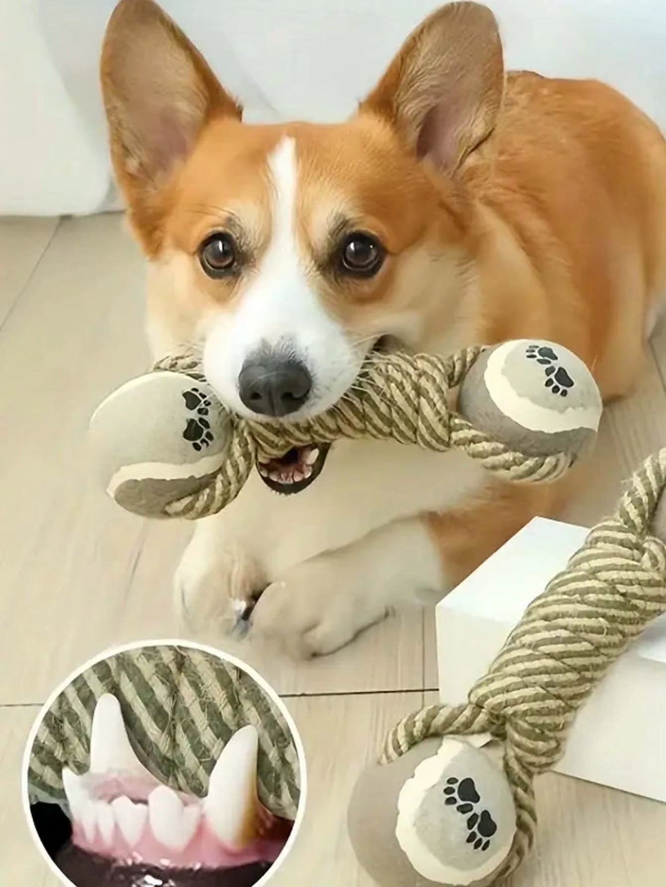 1 Piece of Indestructible Teeth Cleaning Pet Toy, Dog Chew Durable Toy, Cat and Dog Teeth Cleaning Supplies
