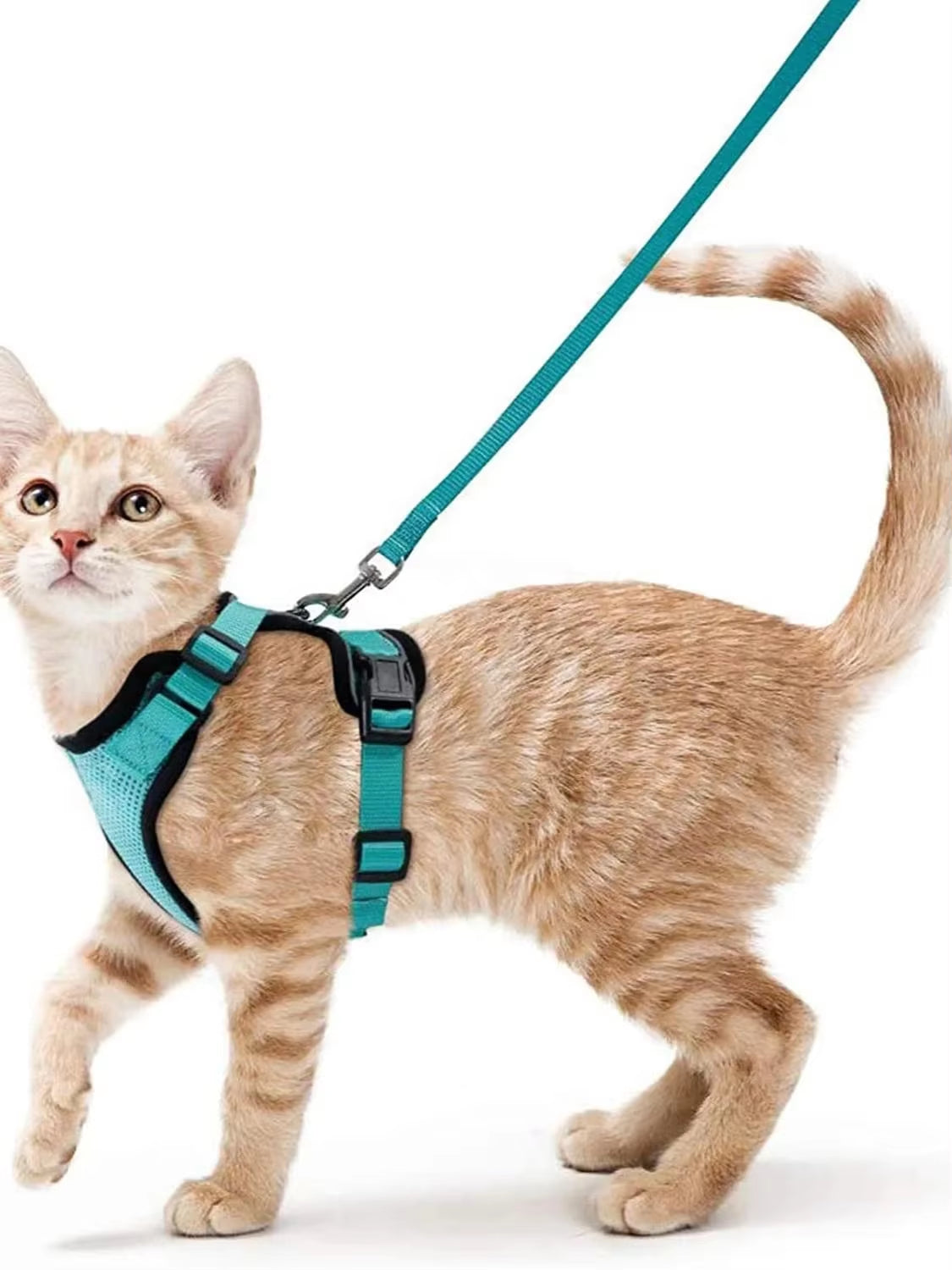 Cat Harness and Leash Set for Walking - Escape-Proof Adjustable Soft Vest Harness for Cats with Easy Control