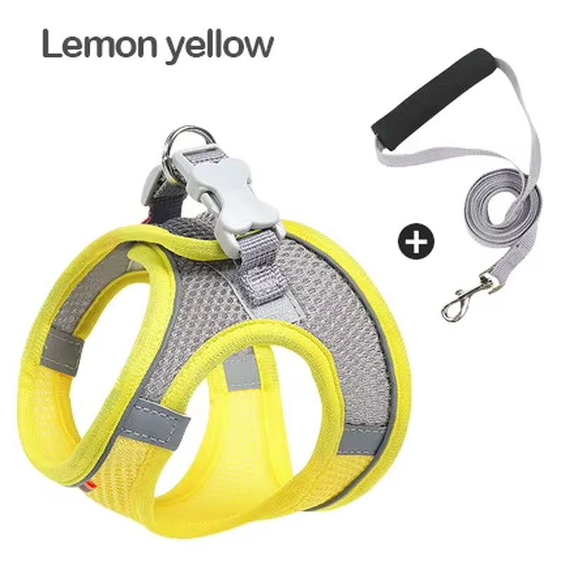 MADDEN Reflective Adjustable Dog Harness Vest and Leash Set for Small to Medium Pets - Breathable Outdoor Walking Solution