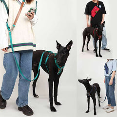 No Pull Dog Harness Adjustable Leather Pet Vest for Easy Walking with 2 Leash Clips Small Medium Large Dogs