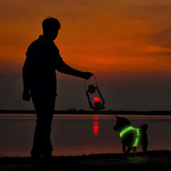 LED Light Dog Harness – USB Rechargeable Reflective Vest, Adjustable Soft Padded Mesh Harness for Small & Medium Dogs