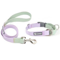 PVC Dog Collar & Leash Set with P‑Chain – Adjustable Training Collar for Dogs & Cats | Waterproof & Easy to Clean