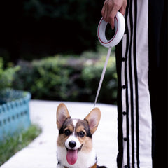 3M Retractable Dog Leash – Lightweight Hands‑Free Design, Durable Training & Walking Lead for Pets up to 30kg