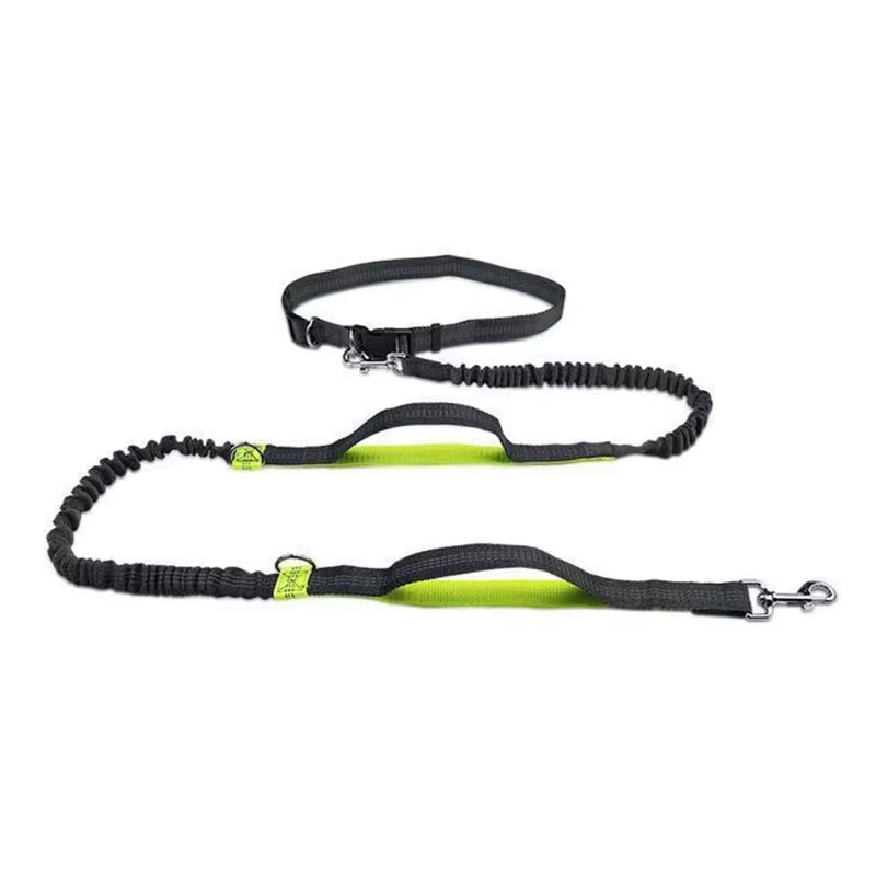 2025 NEW Cat Dog Hands-Free Leash Outdoor Sports Reflective Elastic for Running Dog Leash Chain Adjustable Pet Supplies