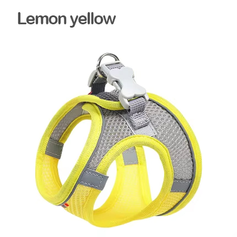 MADDEN Reflective Adjustable Dog Harness Vest and Leash Set for Small to Medium Pets - Breathable Outdoor Walking Solution