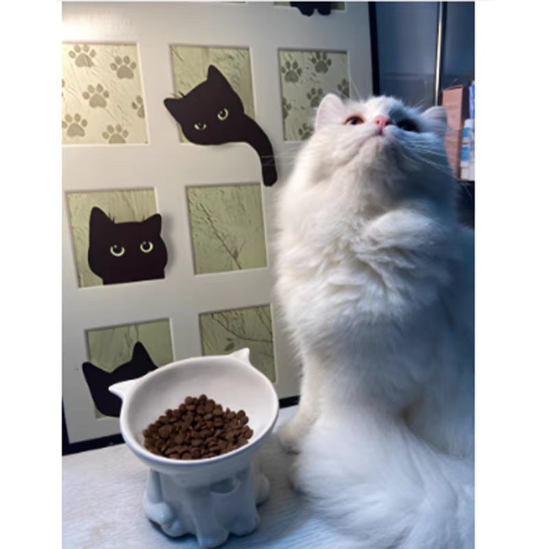 Elevated Cat and Dog Bowl with Ergonomic Tilted Design - Cervical Spine Protection & Washable Anti-Slip Pet Food Basin