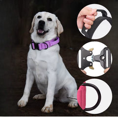 Tactical Dog Collar with Handle - Heavy Duty Nylon Control Collar for Dogs, Quick Release Easy Clean Pet Carrying Collar