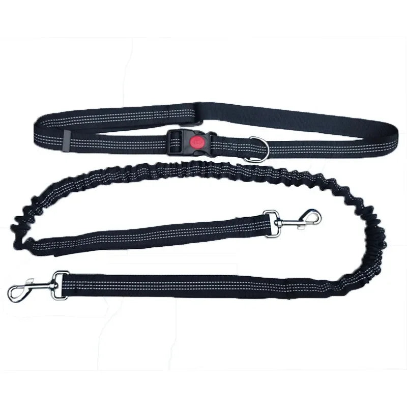 Hands-Free Dog Leash with Adjustable Waist Belt and Shock-Absorbing Bungee - Reflective Running, Jogging, and Walking Traction Rope for Small, Medium, and Large Dogs