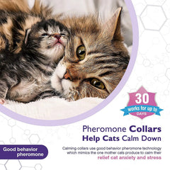 Cat Calming Collar 3-Pack & 4-Pack - Natural Pheromone Anxiety Relief
