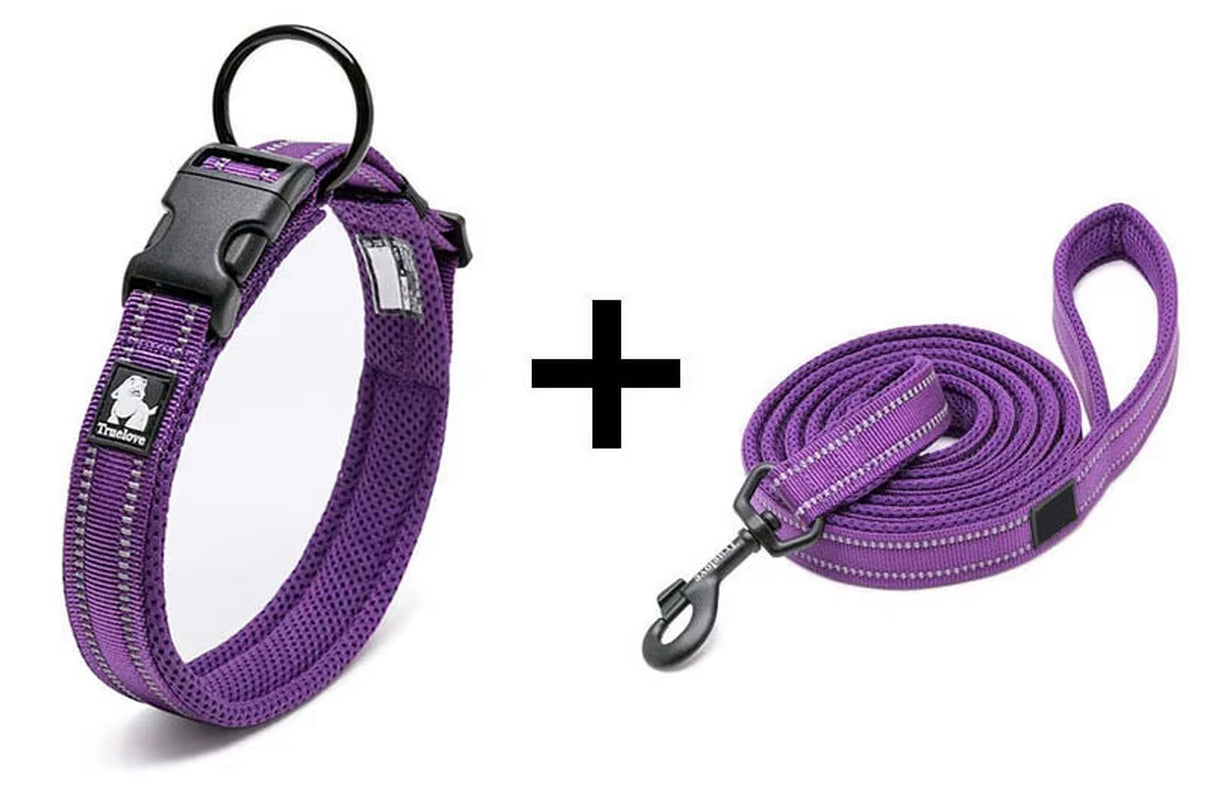 Adjustable Nylon Dog Collar and Leash Combo – Reflective Safety Design