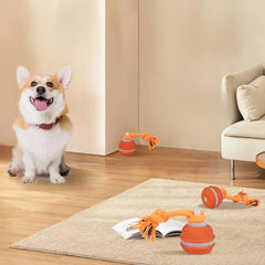 Smart Interactive Dog & Cat Rope Ball - Electronic Motion Toy (Blue/Red)
