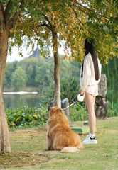 5M Automatic Retractable Dog and Cat Leash - Tangle-Free Extending Walking Lead with Quick-Lock Brake System and Ergonomic Anti-Slip Handle for Pets