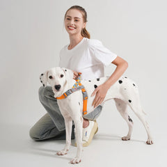 Premium Braided Nylon Rope Dog Leash and Collar Set - Heavy-Duty Adjustable Climbing Rope Pet Lead with Quick-Release Safety Buckle for Small, Medium, and Large Dogs
