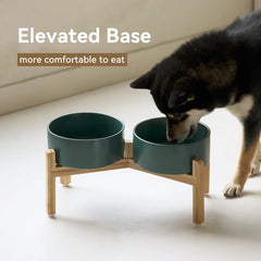 Elevated Ceramic Pet Bowl Set | Natural Wood Stand Feeder
