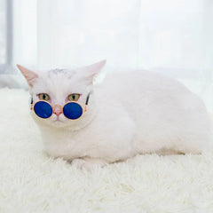 Fun Kitty Sunglasses