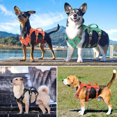 Escape-Proof Nylon Dog Harness with Lifting Handle - Reflective Padded Pet Vest - Adjustable Safety Harness for Small, Medium, and Large Dogs