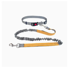Hands-Free Dog Leash with Adjustable Waist Belt and Shock-Absorbing Bungee - Reflective Running, Jogging, and Walking Traction Rope for Small, Medium, and Large Dogs