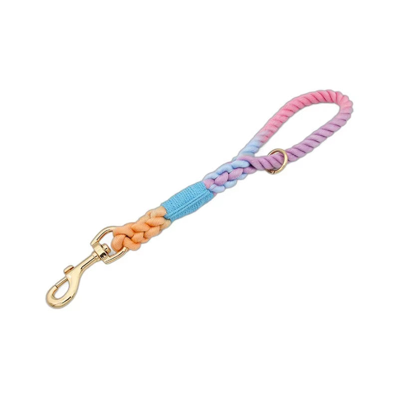 Loudik P-Chain Collar Leads - Fancy Styles