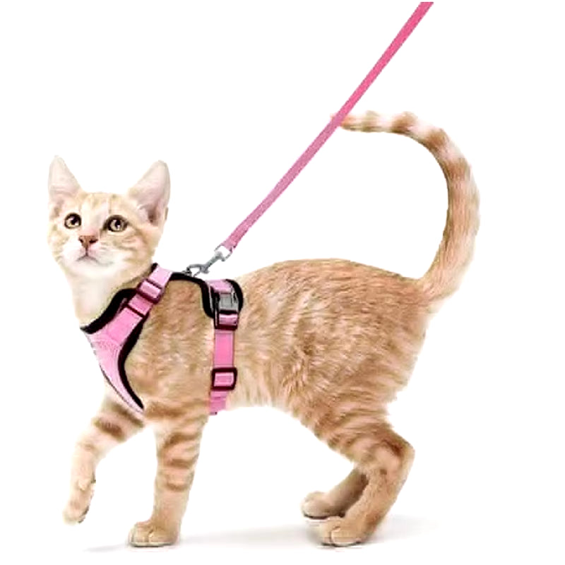 Cat Harness and Leash Set for Walking - Escape-Proof Adjustable Soft Vest Harness for Cats with Easy Control